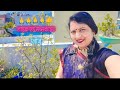 Priyanka Sharma is live ✨🙏🙏✨