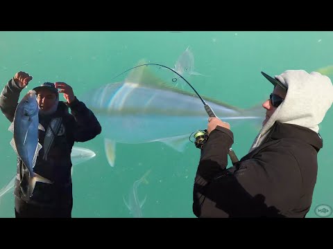 A little bait n berley bash in the farm - catching fish safely out of the wind