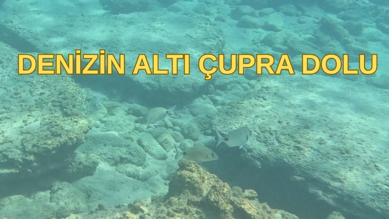 DATÇA PALAMÜRBÜKÜNDE AKÇABÜK KAMPİNG