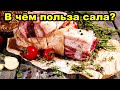 Полезные свойства сала