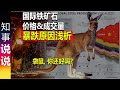 国际铁矿石价格及成交量暴跌原因浅析 | 袋鼠, 你还好吗?