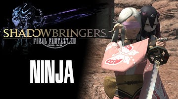 Ninja DPS Guide -FF XIV Shadowbringers 5.2