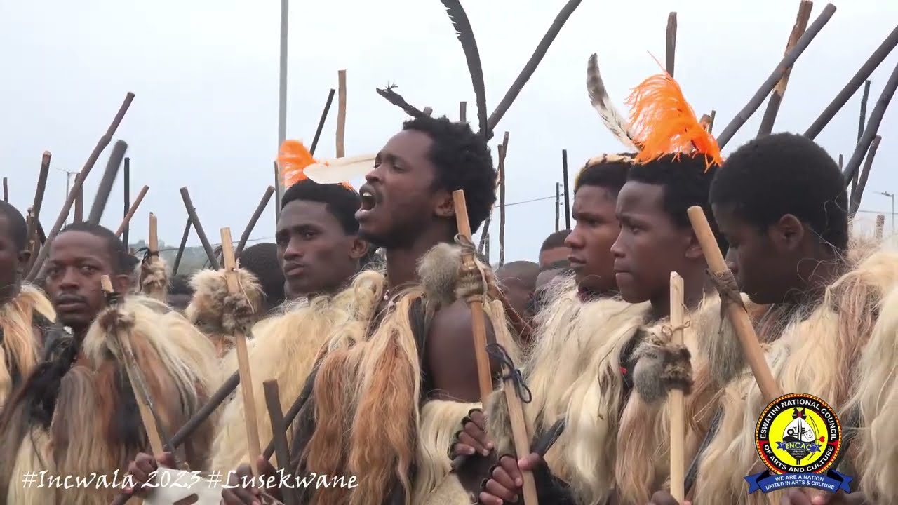 His Majesty King Mswati 111 commissions ingatja for.Lusekwane shrubs collecting