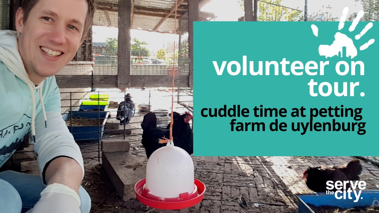 Volunteer on tour: cuddle time at petting farm de Uylenburg