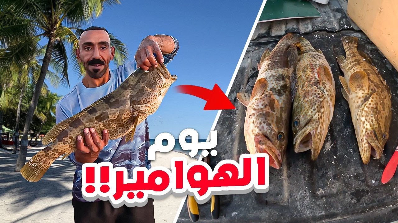 يوم الهوامير من السيف (ارساليات)