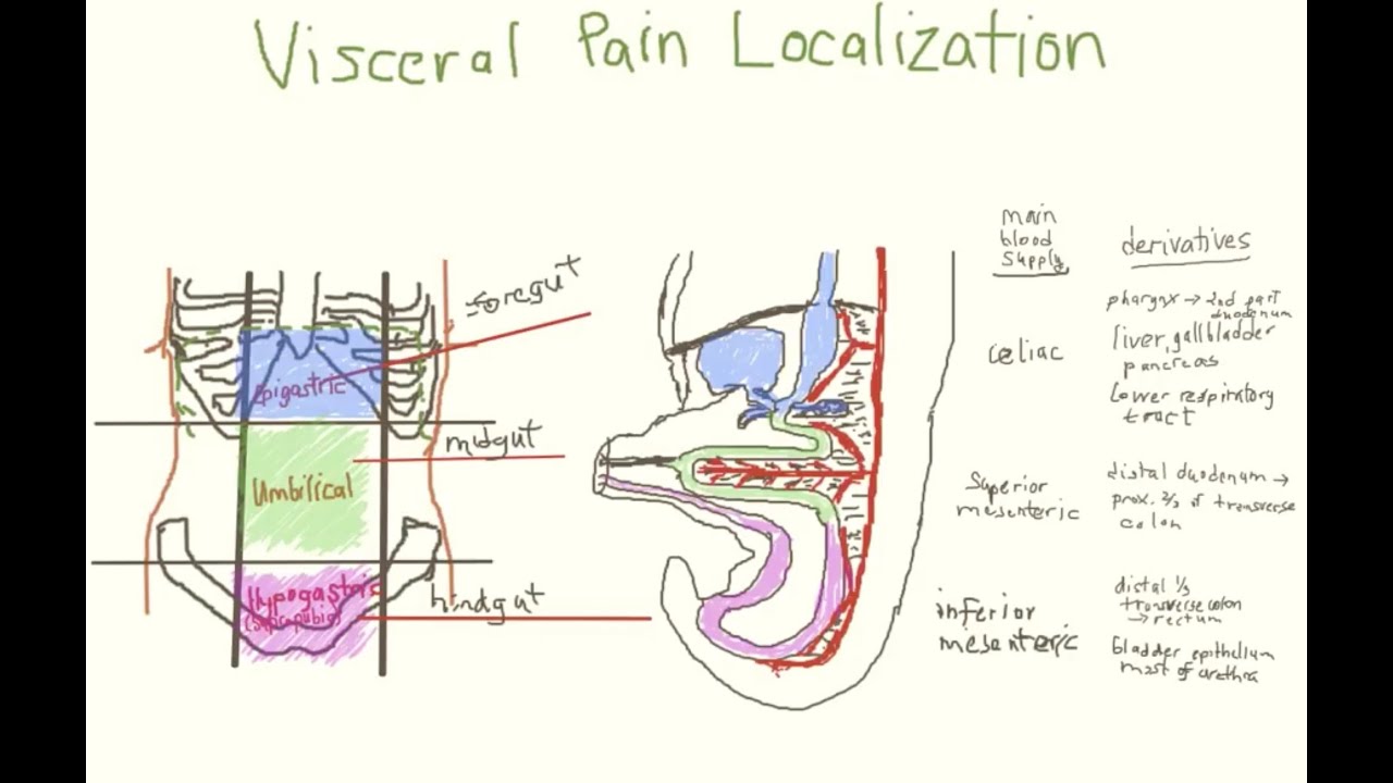 Pediatric Acute Abdominal Pain, Part 1 of 2 YouTube