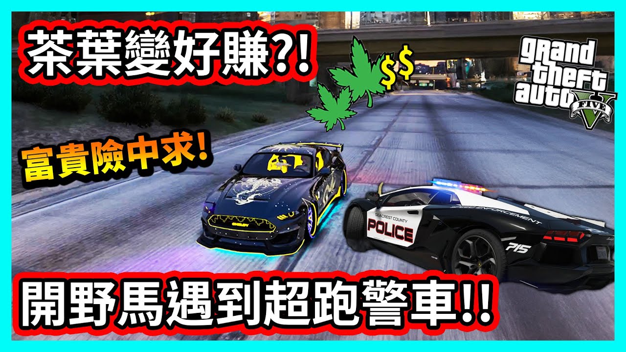 【阿航】GTA5 茶葉變好賺! 開野馬遇到超跑警車! | FiveM伺服器 胖海熊RPG