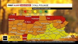 Fall Foliage Report: Pittsburgh area seeing peak fall color