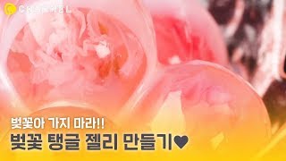 [레시피] 벚꽃아 가지 마라! 벚꽃 탱글 젤리 만들기🌸 | 씨채널 푸드