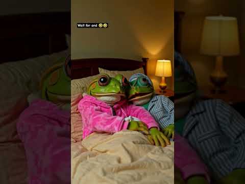    ترفيه ضفضع ضحك حيوانات مثل بشر   