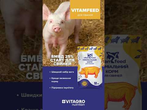 БМВД 25% Старт для свиней, 10 кг, VitamFeed, видео 1