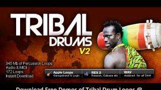 Tribal Percussion - Tribal Drum Samples V2