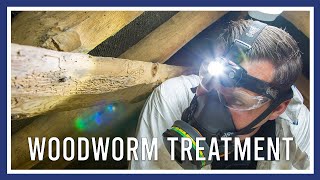 Woodworm treatment by PGH Pest Prevention 5,976 views 2 years ago 2 minutes, 4 seconds