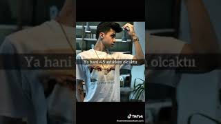 Cemcel Dizifesat Gibi Yani