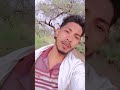 🥀🫶Tumpe marte hain Mar hi 🙇♂️ jayenge lyrics 90's Status❤🥀 || #youtubeshorts #status #shorts #like