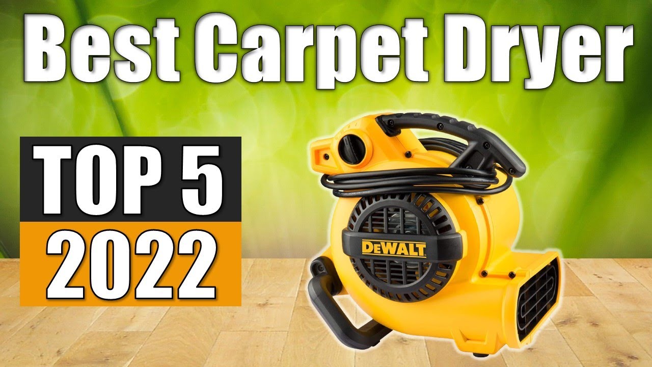 5 Best Carpet Dryer Review - Best Air Blower Floor Dryer in 2020