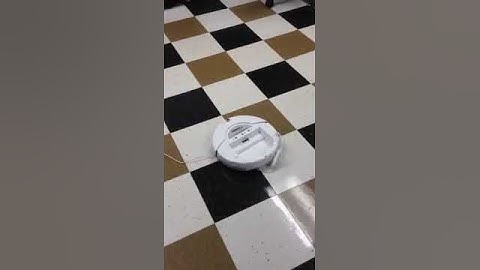 CS 101 project (Faris, Vincent, Ruxi, and Qui)2