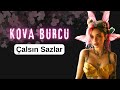 Kova burcu  alsin sazlar oh