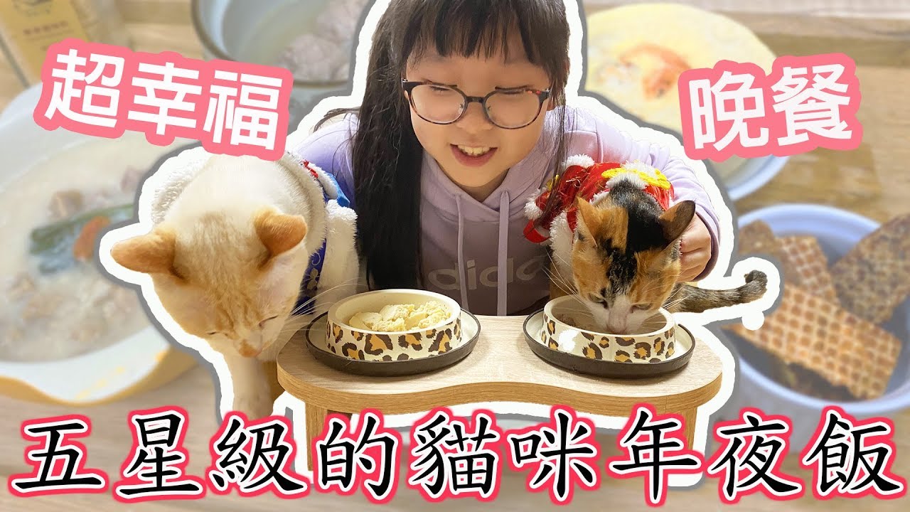 【貓日常】雪卷花卷吃五星級 年夜飯 好味小姐 貓咪年菜 禮盒[NyoNyoTV妞妞TV]