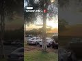 LISTEN 🚨: Sirens Rage In Hawaii As First Tsunami Waves Imminent #tsunami #hawaii #earthquake