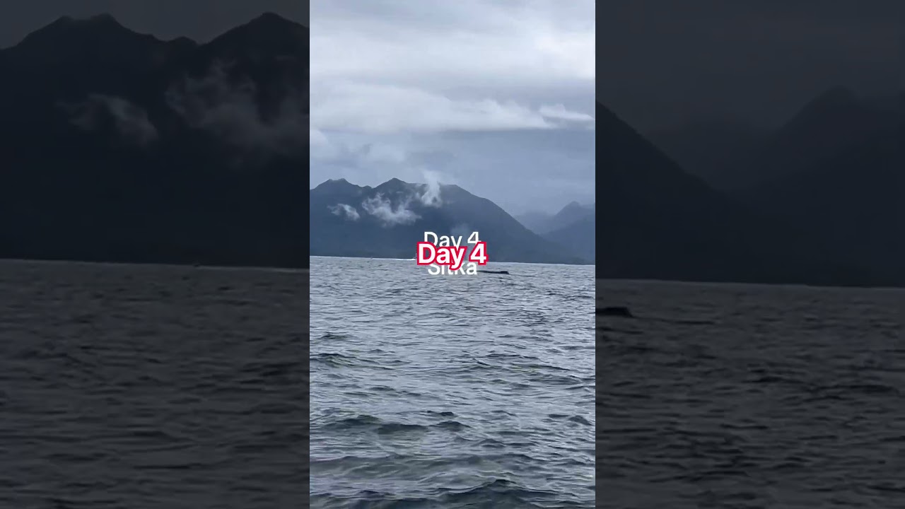 Day 4 Sitka #cruise #alaska