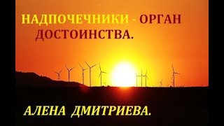 Надпочечники - органы достоинства. Алена Дмитриева. Надпочечники - органы достоинства. Алена Дмитриева.