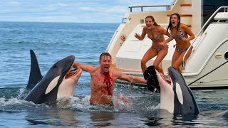 Orca Attack Sinks Billionaire’s Yacht in Terrifying Encounter