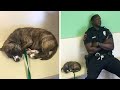 Polizist rettet streunenden Hund und weicht stundenlang nicht von seiner Seite...