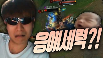 응애 세력 뜻 응애 세력 뜻