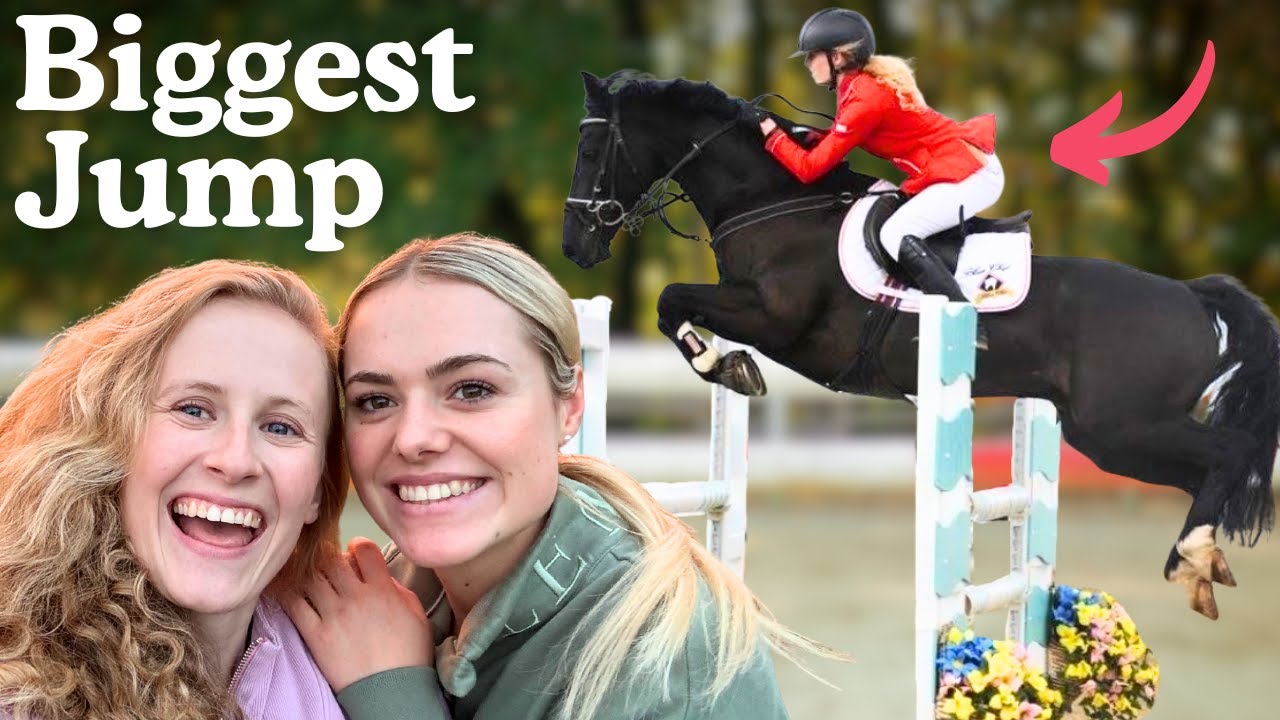 Play: A gentle equestrian chat for horse lovers and quiet afternoons