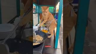 Punya Bos Marah mulu #videolucu #video #videoparody #parodi #ngakak #ngakakkocak #lawak #kucinglucu