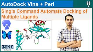 Ligand Screening with AutoDock Vina and Perl | Docking Multiple Ligand at Same Time