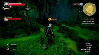 Witcher 3: Wild Hunt - A Princess in Distress Quest