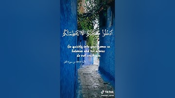 الآية 16 17 من سورة النمل
