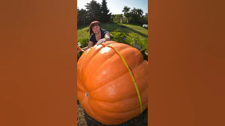 Rare Photos You've Never Seen Before Part [ 47 ]