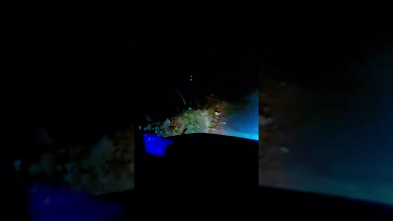 Kumeriya ke pass Mai dekha tiger 🐅