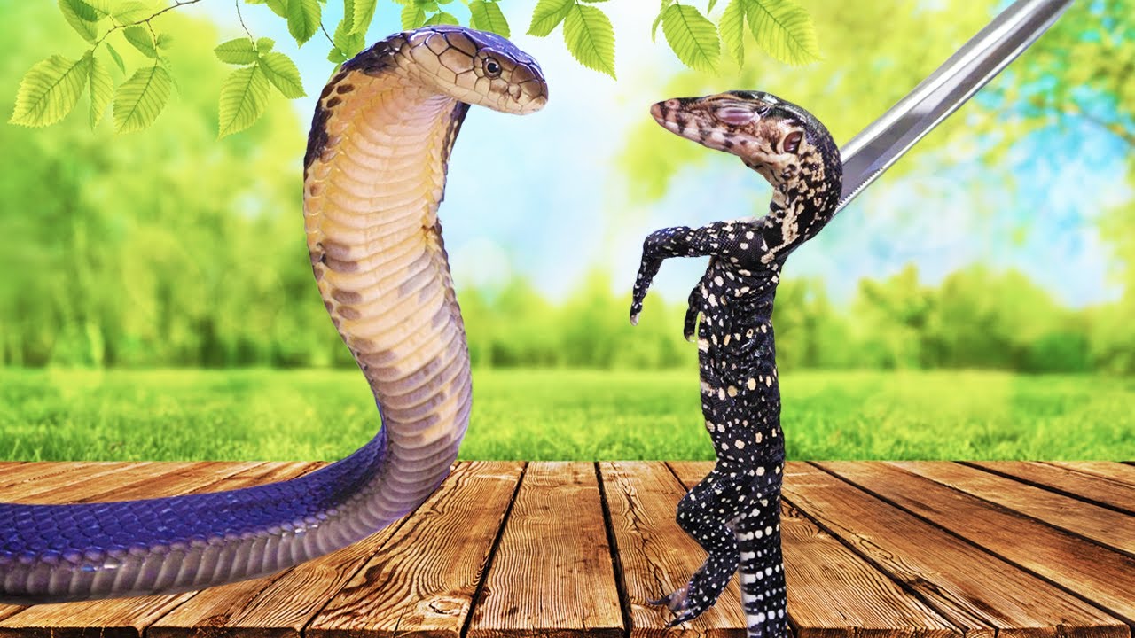 Image showcasing Feeding Exotic Lizards To Our King Cobras - YouTube