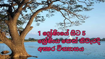 1 ශ්‍රේණියේ සිට 5 ශ්‍රේණිය තෙක් නිවැරදි අක්‍ෂර වින්‍යාසය(Neth Education )