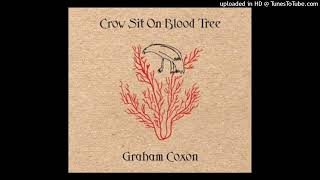 02. I&#39;m Goin&#39; Away - Graham Coxon - Crow Sit On Blood Tree