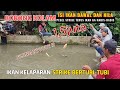 Mancing Borongan Kolam Terbaru ! Ikan Bawal Target Pertama, Baru Kuras Habis Ikan Nila