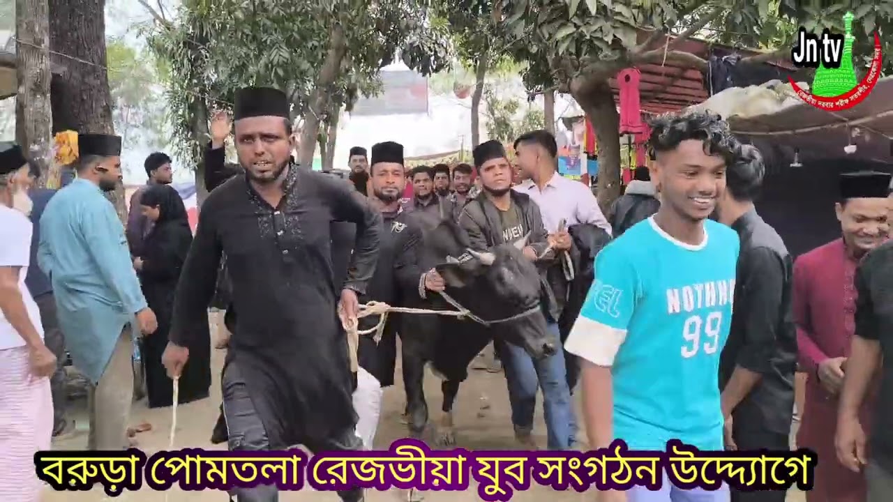 ৬৬ তম ওরছ মোবারকে বড় একটি গরু কিনলেন বরুড়া পোমতলা রেজভীয়া যুব সংগঠন উদ্দ্যােগে 