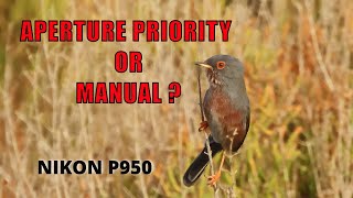 NIKON P950 APERTURE PRIORITY OR MANUAL MODE  for Birding in MURCIA SPAIN