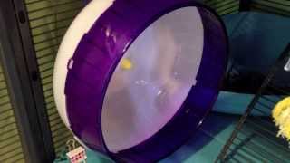 Silent Spinner Wheel Review