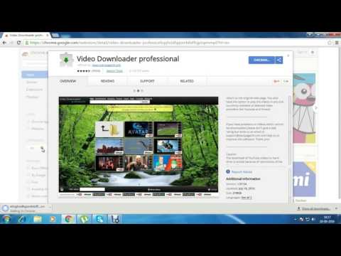 best-chrome-video-downloader,-video-downloader-professional