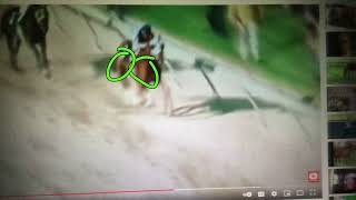 Preakness Stakes: Secretariat 1973 Stride analysis