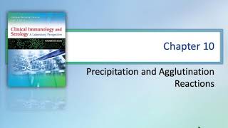 Precipitation and Agglutination