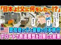 「日本よ！父に何をした…!?」元鉄道運転手で認知症の父と最期の日本旅行へ出かけたアメリカ人家族が、デパートで鉄道模型を目撃した結果…【海外の反応】【ゆっくり解説】