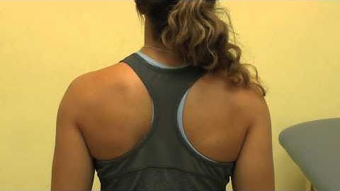 Seated scapular retraction