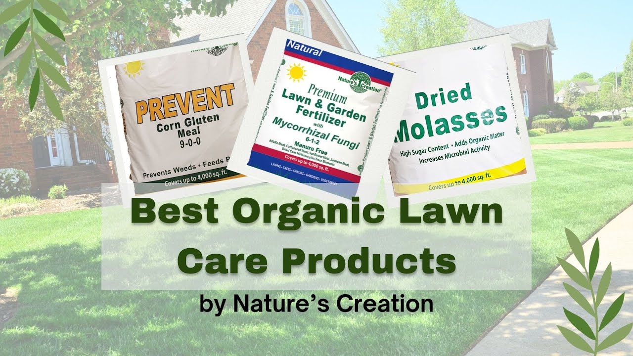Best Lawn Care Program Reddit