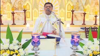 Sunday Holy Mass May  26   I 5.30 AM I Malayalam I Syro Malabar I Fr Bineesh Augustine